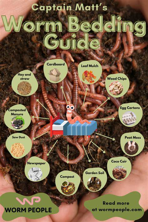 Choosing Worm bedding: How To Vermicompost Part 2 - raincitystudios.com