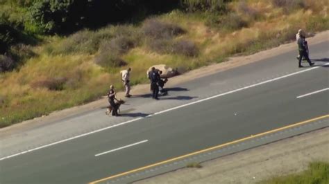 CHP pursuit ends in K-9 takedown