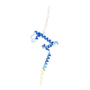 CHRAC1 Gene - GeneCards CHRC1 Protein CHRC1 …