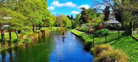 Christchurch Pathways challenges - Adrenalin forest - High wire … - raincitystudios.com