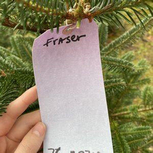 CHRISTMAS CREEK TREE FARM - TEMP. CLOSED - Yelp