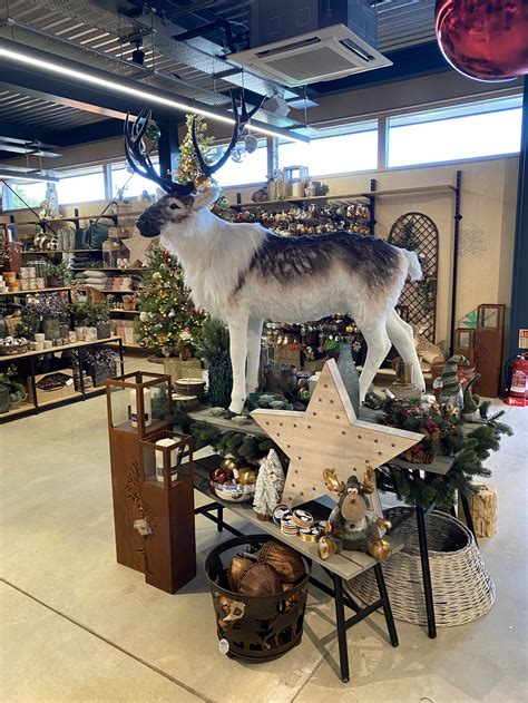 CHRISTMAS VISUAL MERCHANDISING — PAUL WILKINS CREATIVE