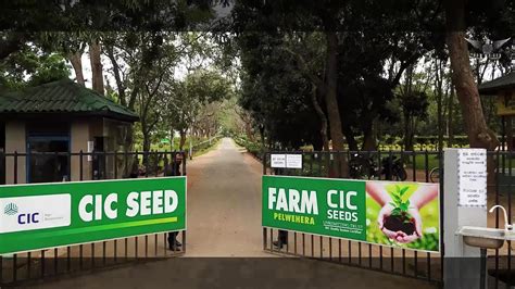 CIC Farms - Pelwehera Farm - Facebook