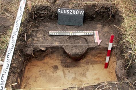 Cicin emas kuno #fyp #fbpro #penemuan #hartakarun #emas - wintechmobiles.com