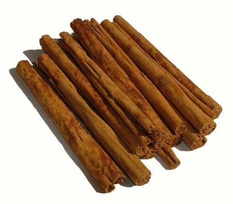 Cinnamon Processing, Practical Action - Growables - raincitystudios.com