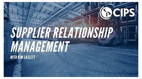 th?w=500&q=CIPS%20Supplier%20Relationships