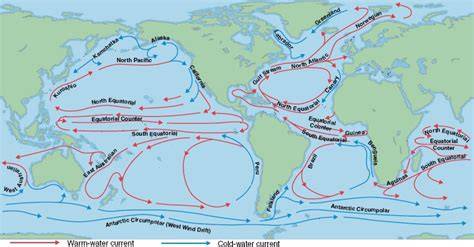 Circulation: Warm and Cold Currents - Geographic Book - raincitystudios.com