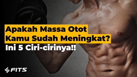 ciri massa otot meningkat - elchoricharrua.com
