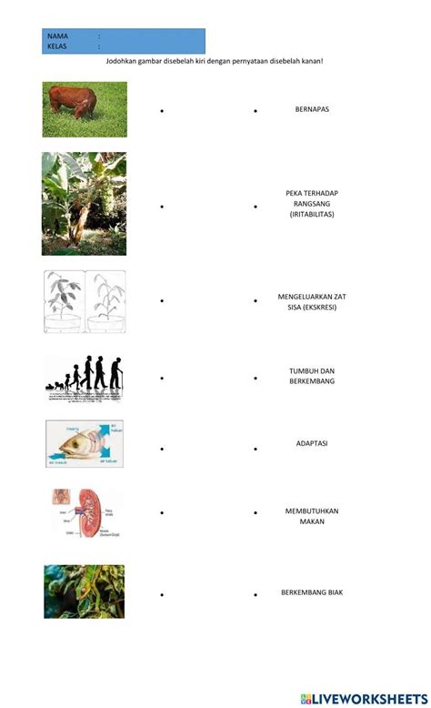 Ciri-ciri "Panic Attack" dan 13 Cara Mengatasinya - wintechmobiles.com