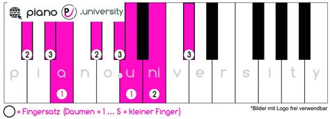 CIS-MOLL - Definition and synonyms of cis-Moll in the German …