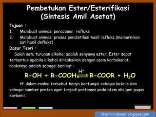 Cita Rasa Buatan dari Proses Esterifikasi - wintechmobiles.com