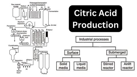 Citric Acid Production - wintechmobiles.com