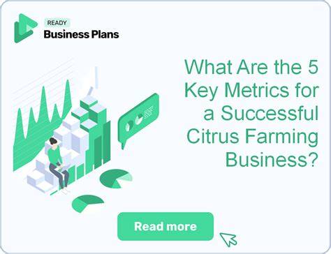 Citrus Farming Business - Startup Biz Hub - raincitystudios.com