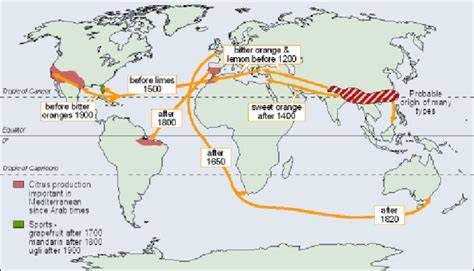 Citrus Origin, Diffusion, and Economic Importance - raincitystudios.com