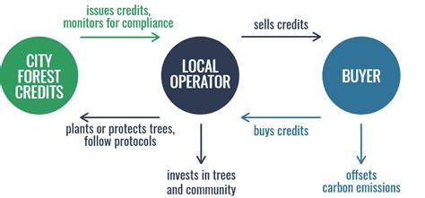 City Forest Credits Afforestation and Reforestation Project Application - raincitystudios.com