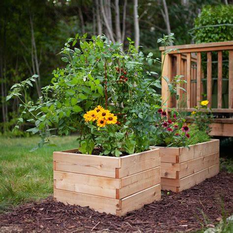 Classic Natural Cedar Raised Garden Beds - raincitystudios.com