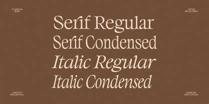 Classicel Serif Font | Webfont & Desktop | MyFonts - muktibox.com