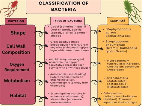 Classification of Bacteria | PPTX - SlideShare - muktibox.com