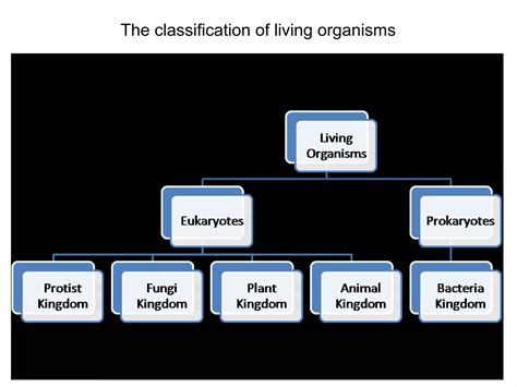 Classification of living organisms - AQA - BBC - muktibox.com