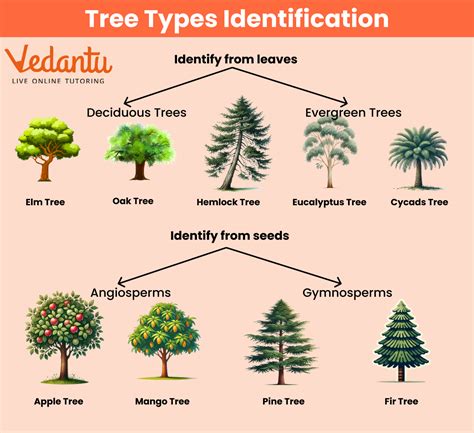 Classification Trees - MATLAB & Simulink - MathWorks - coolestguyplanet.net