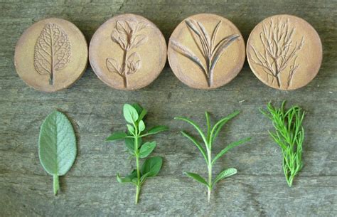 Clay Plant Impressions - muktibox.com