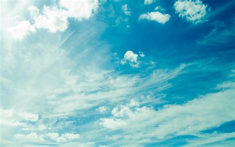 Clean the Sky - Carbon-Focused Data Verification Systems - raincitystudios.com