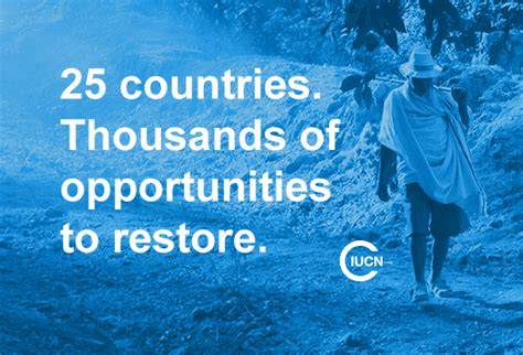 Clear roadmaps for land restoration in 25 countries - IUCN - raincitystudios.com