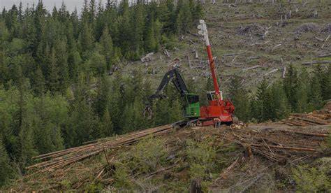 Clearcutting | EROS - raincitystudios.com