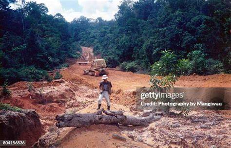 Clearing (geography) - raincitystudios.com