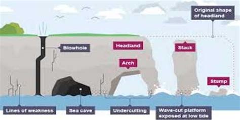 Cliffs terraces caves and stacks – Erosional landforms of ... - Andedge - wintechmobiles.com