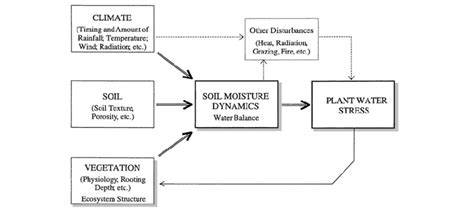 Climate, Soil, and Vegetation - Montane Cordillera - raincitystudios.com