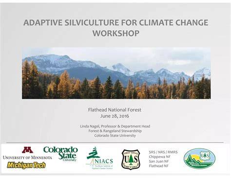Climate adaptive silviculture strategies: How do they impact growth ... - raincitystudios.com