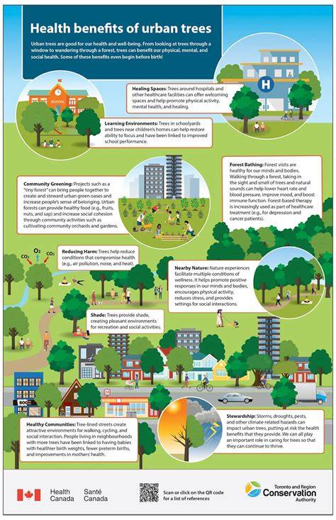 Climate Benefits of Urban Trees | World Resources Institute - raincitystudios.com