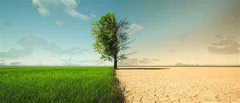 Climate Change & Environment Supreme Court Cases - raincitystudios.com