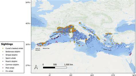 Climate change and cetacean habitat suitability in the Mediterranean ... - raincitystudios.com