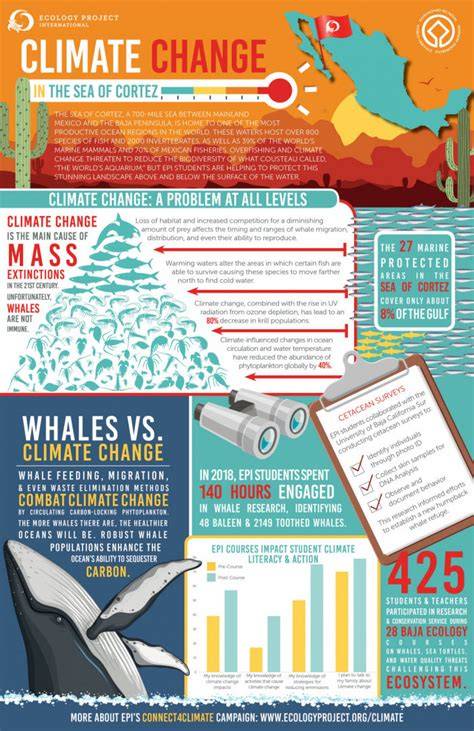 Climate change and cetaceans: concerns and recent … - raincitystudios.com