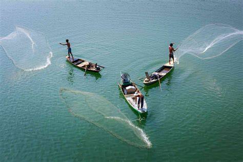 Climate change and fishing | Marine Stewardship … - raincitystudios.com