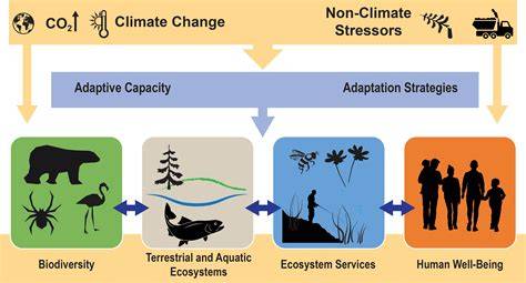 Climate change effects on biodiversity, ecosystems, ecosystem services ... - raincitystudios.com