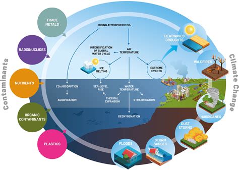 Climate change impacts on ocean acidification - raincitystudios.com