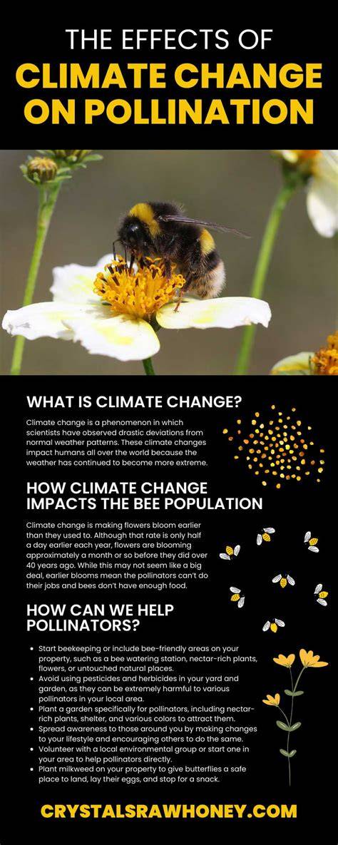 Climate change impacts on pollination - Nature Plants - raincitystudios.com