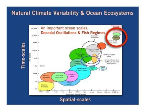 Climate Variability, Ocean Circulation, and Ecosystems - raincitystudios.com