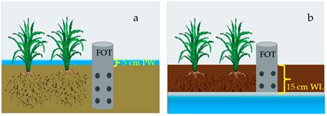 Climate-smart water management in rice paddies: a meta ... - Springer - wintechmobiles.com