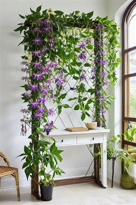 Climbing plant - Simple English Wikipedia, the free … - muktibox.com