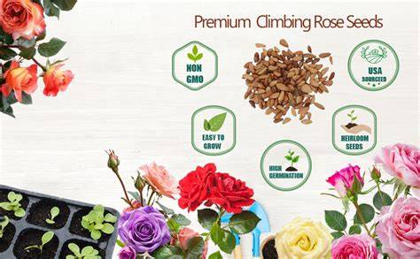 Climbing Vine Seeds for Planting - Etsy - raincitystudios.com