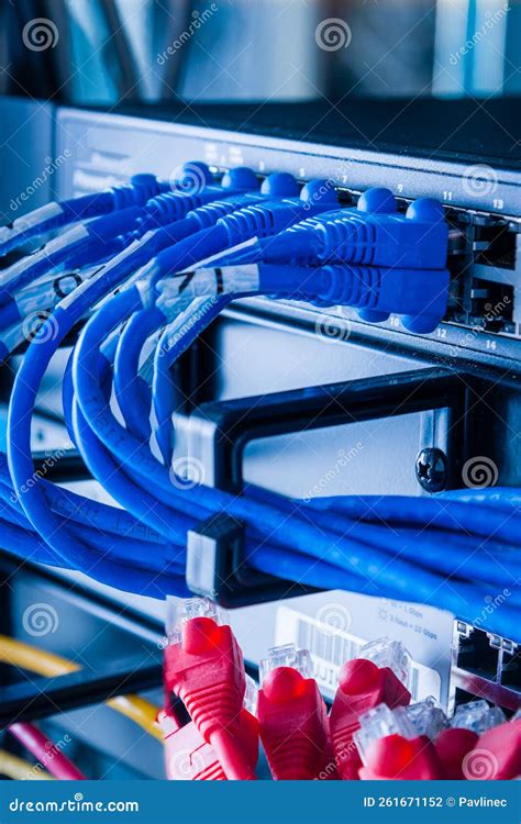Close-up of blue Ethernet cables connected to a high-speed ... - Alamy - coolestguyplanet.net