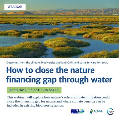Closing the financing gap of marine conservation - raincitystudios.com