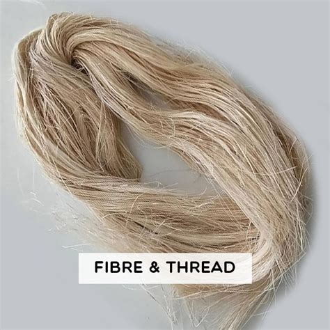 Clothing History: Functions, Theories & Evolution … - muktibox.com