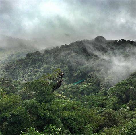 Cloud Forest & Highlands - Costa Rica Outdoors & Waves - raincitystudios.com