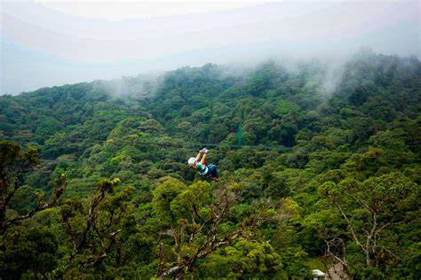 Cloud Forest Adventure - raincitystudios.com