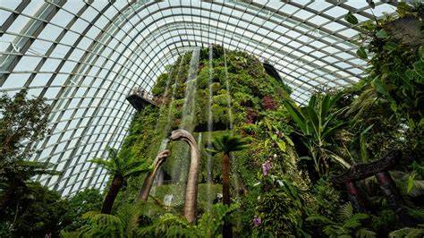 Cloud forest - Wikiwand - raincitystudios.com